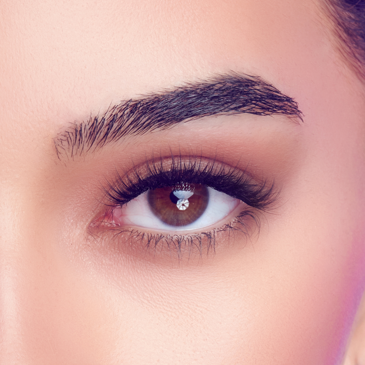 FALSCARA STUDIO Lash Extension Kit - Xtra